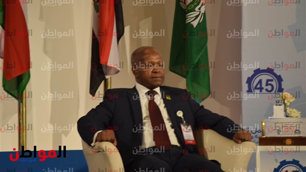 المهدي الأمين وزير