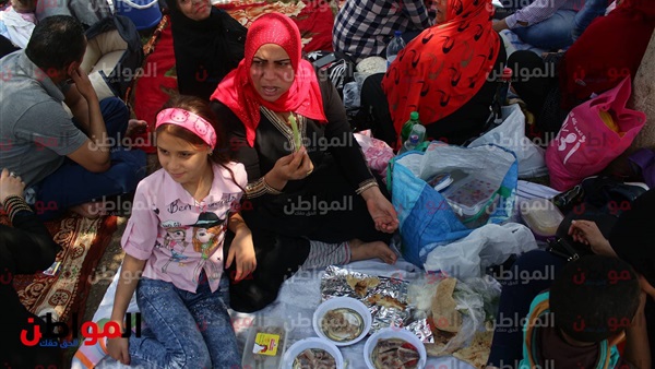 صور الفسيخ والرنجة