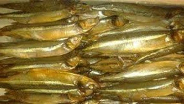 وزارة الصحة بسوهاج