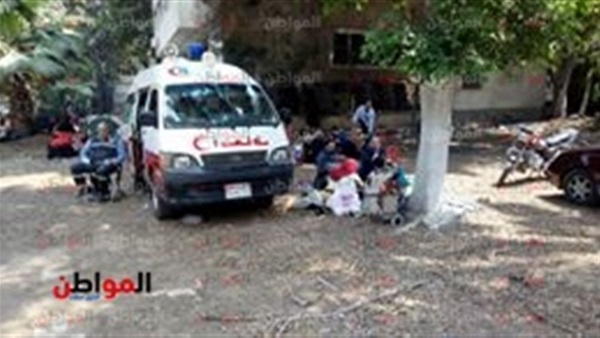 المواطن