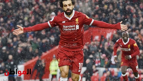 المواطن