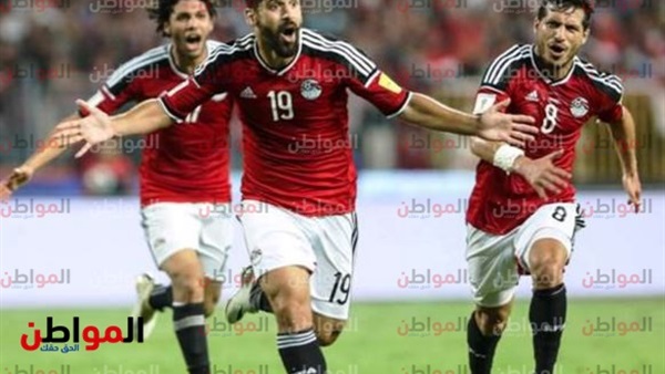 المواطن
