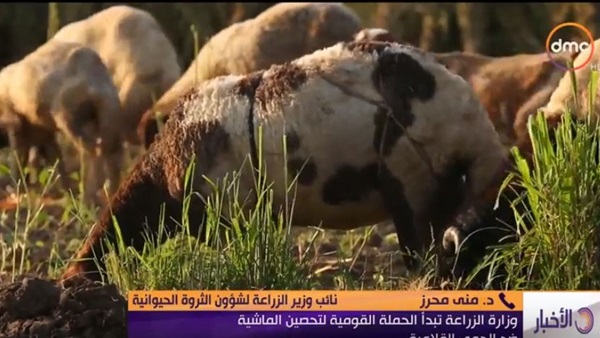 وزارة الزراعة تبدأ