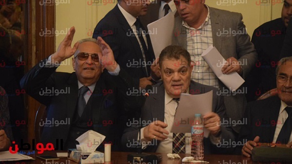 السيد البدوى