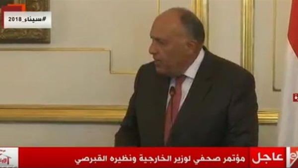 سامح شكري وزير الخارجية