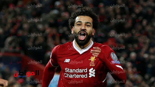 المواطن
