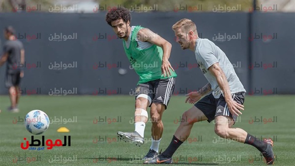 المواطن