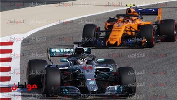المواطن