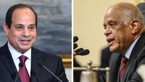 الرئيس السيسي والدكتور