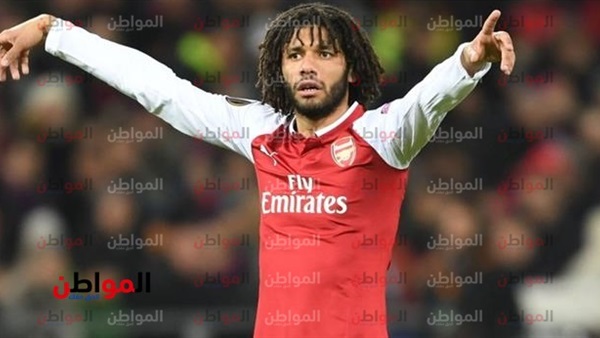 المواطن