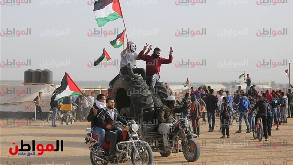 بث مباشر