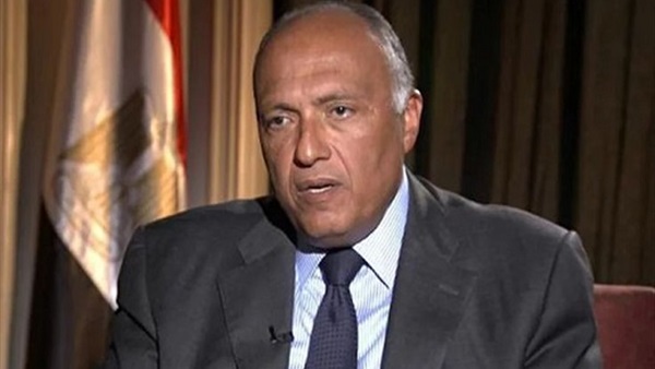 سامح شكري وزير الخارجية