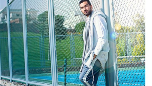 محمد الشرنوبي