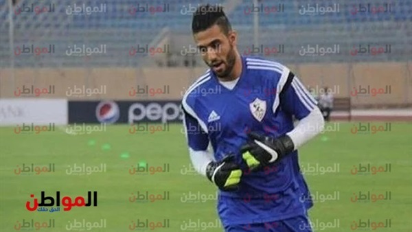 أحمد الشناوى