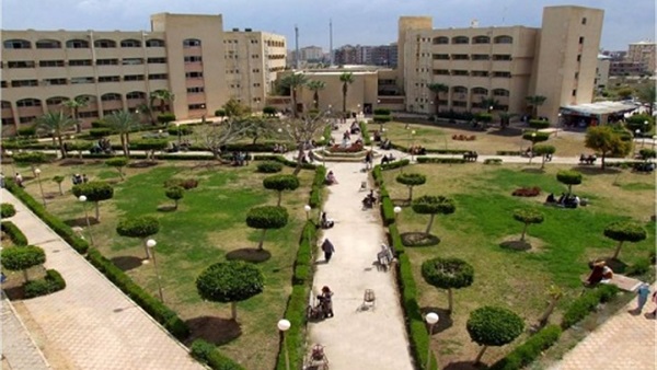 جامعة دمياط
