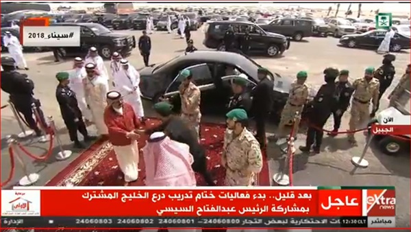 فعاليات تدريب درع