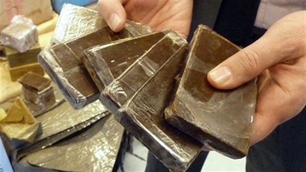 517 طربة حشيش