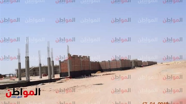 المواطن
