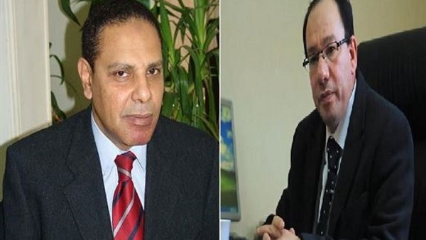علاء الأسواني ووائل