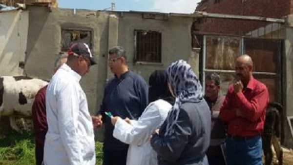 تطعيم الماشية وتحصينها