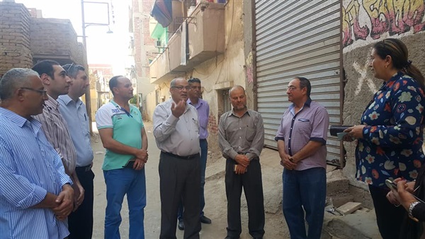 البيئة ووفد ألمانى