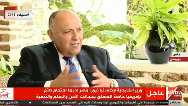 سامح شكري وزير الخارجية