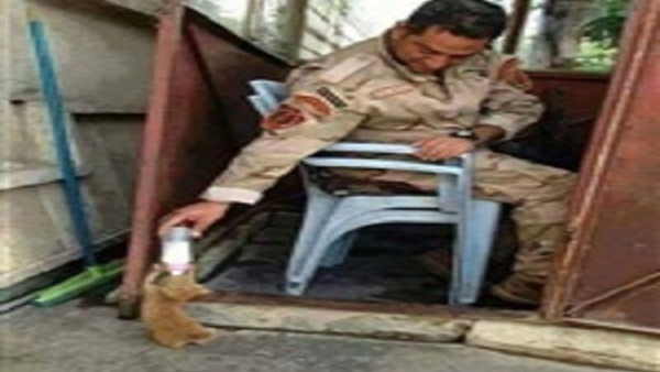 صورة الظابط