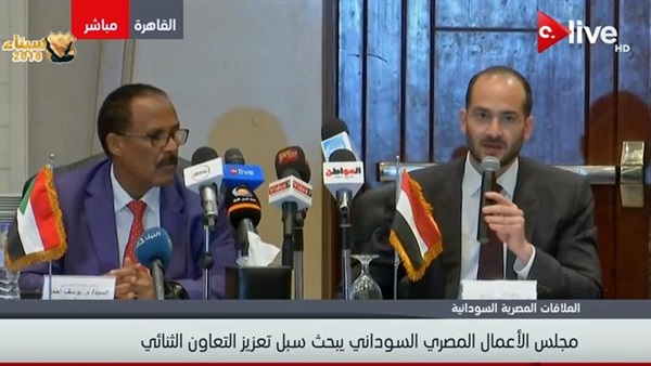 مجلس الأعمال المصري