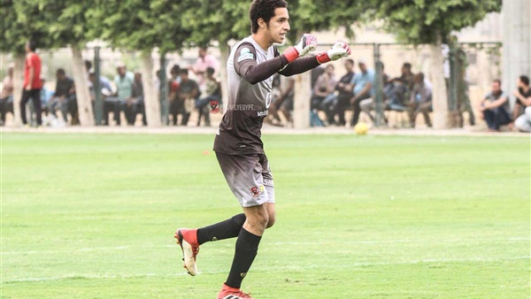 أحمد شوبير