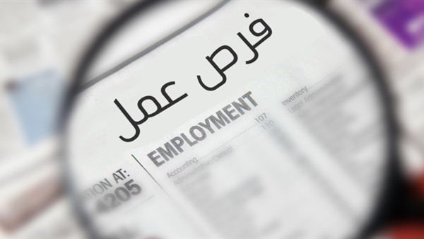 فرص عمل