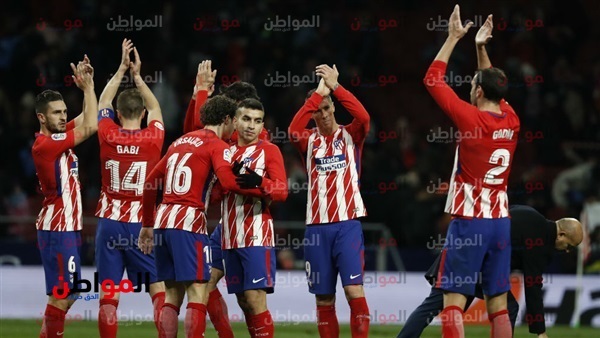 المواطن