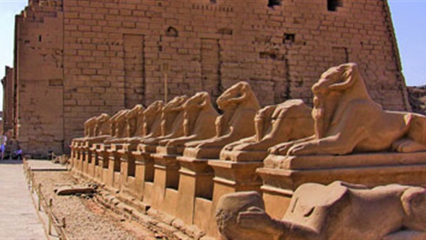 طريق الكباش