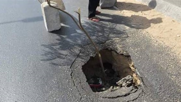 أرشفيه