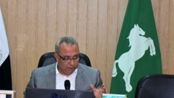 محافظ الشرقية