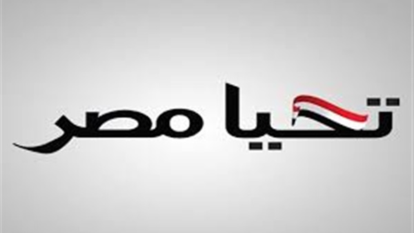 صندوق تحيا مصر في