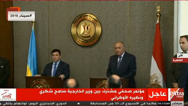 سامح شكري ووزير الخارجية