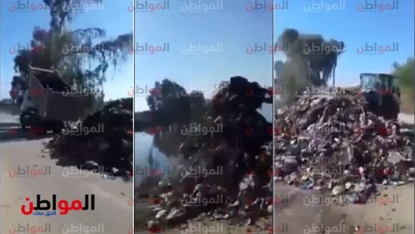 المواطن