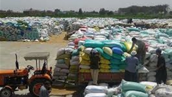 توريد القمح