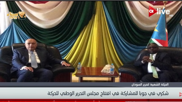 وزير الخارجية سامح