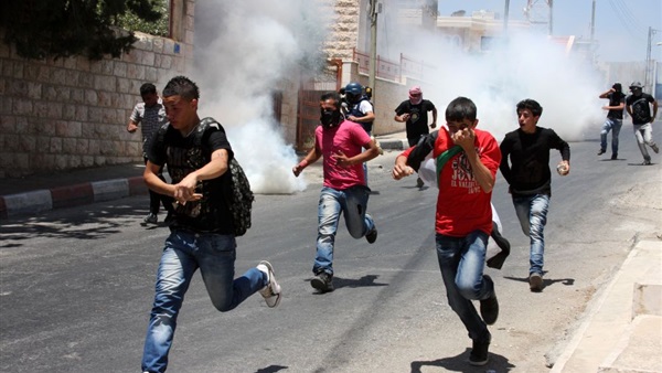 فلسطين