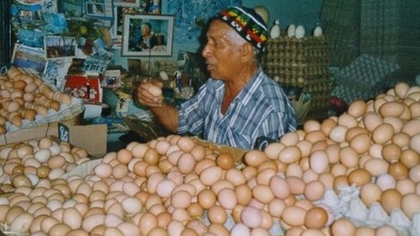 اسعار البيض