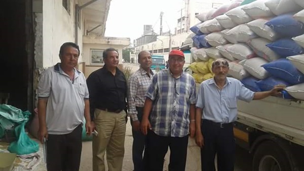 توربد القمح