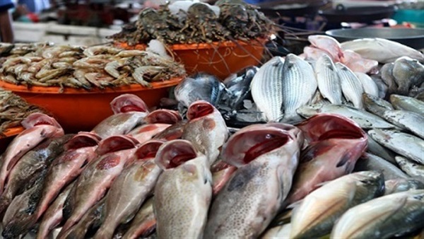 اسعار الأسماك