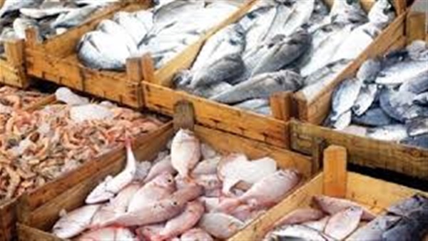 اسعار الاسماك