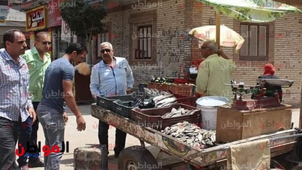 حملة مكبرة