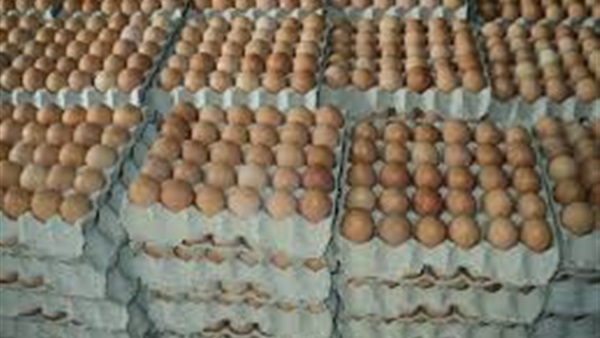 اسعار البيض