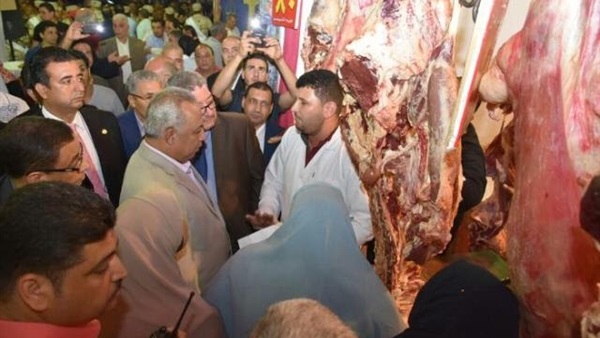 المعرض