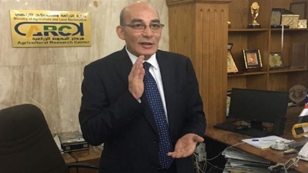 الدكتور عبد المنعم