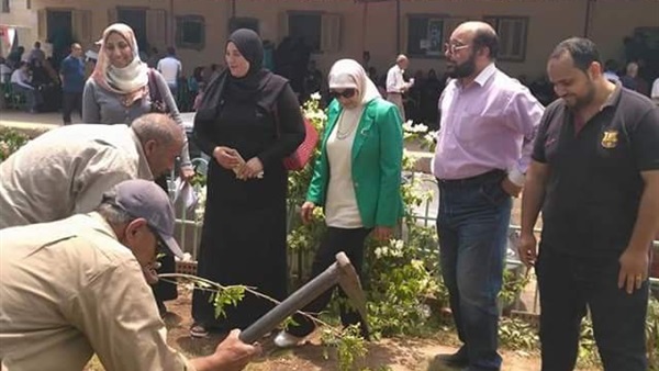 زراعه شجر مثمر