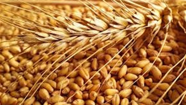 اسعار السلع الحيوية